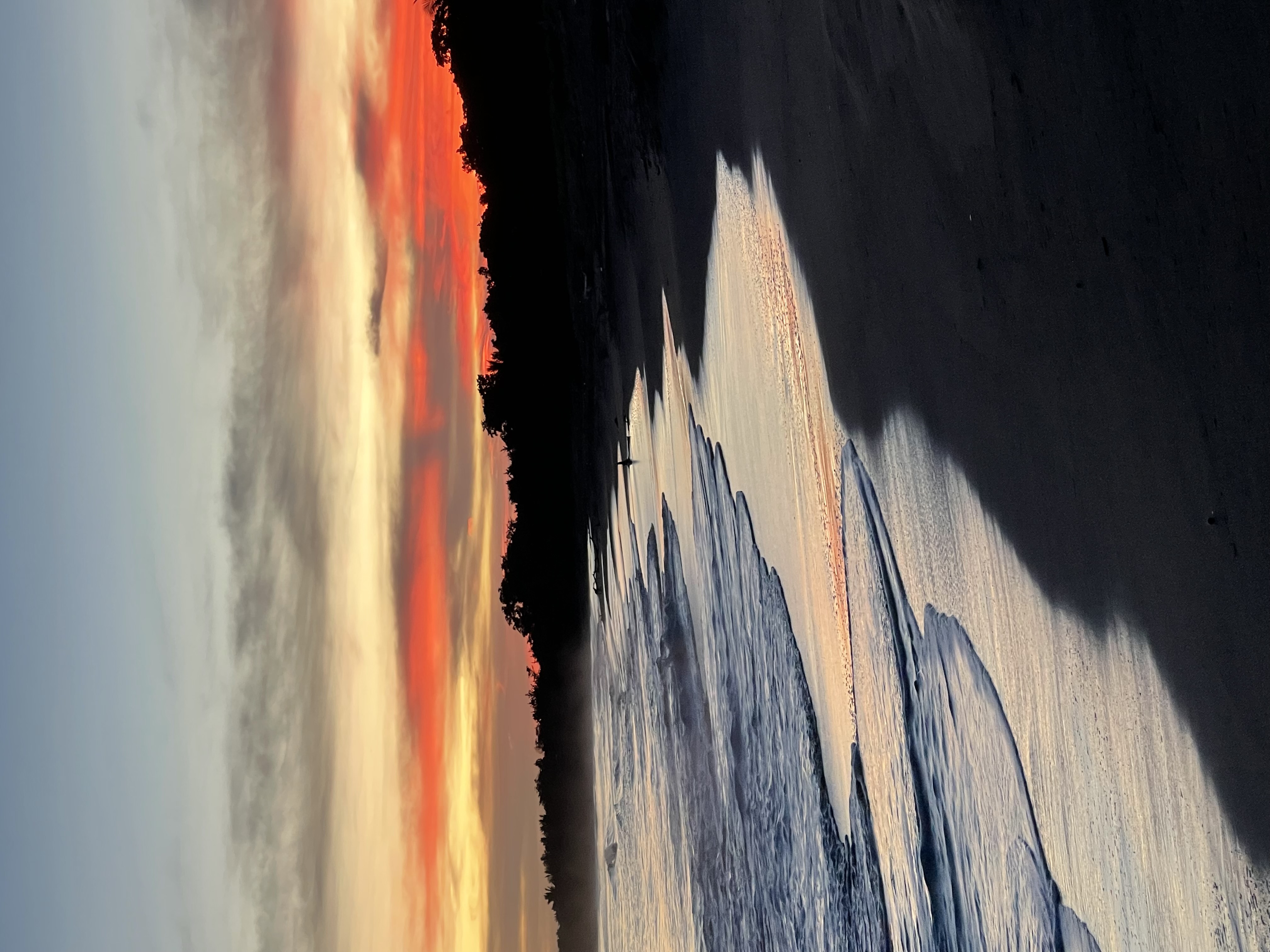 Desintoxicación emocional para iniciar 2026