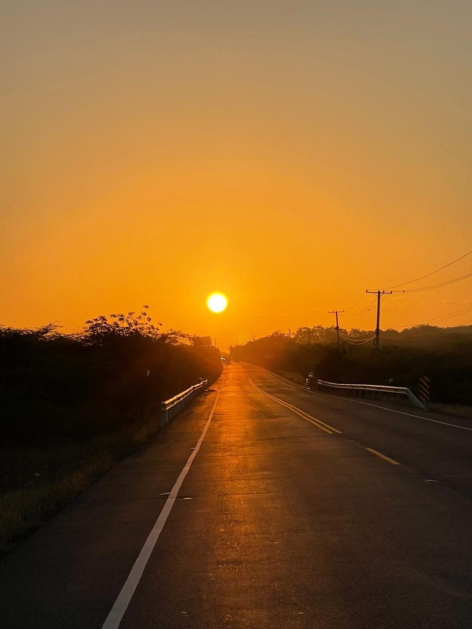 Soltar a los hijos: un oficio silencioso de amor